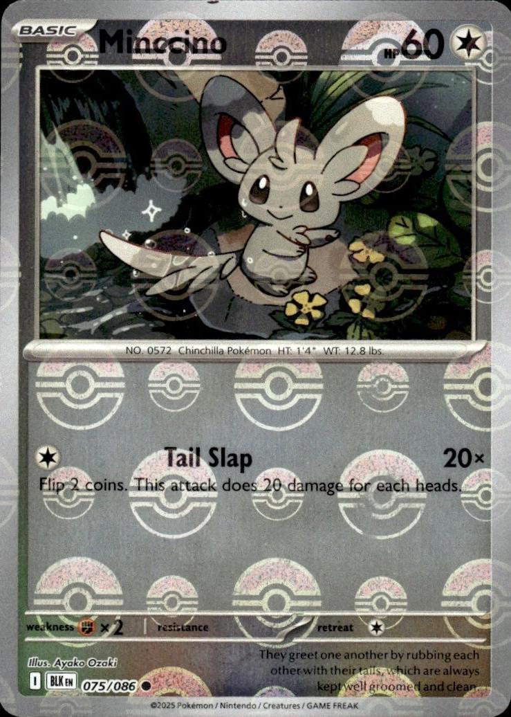 Black Bolt Minccino [Poke-Ball] Pokémon card